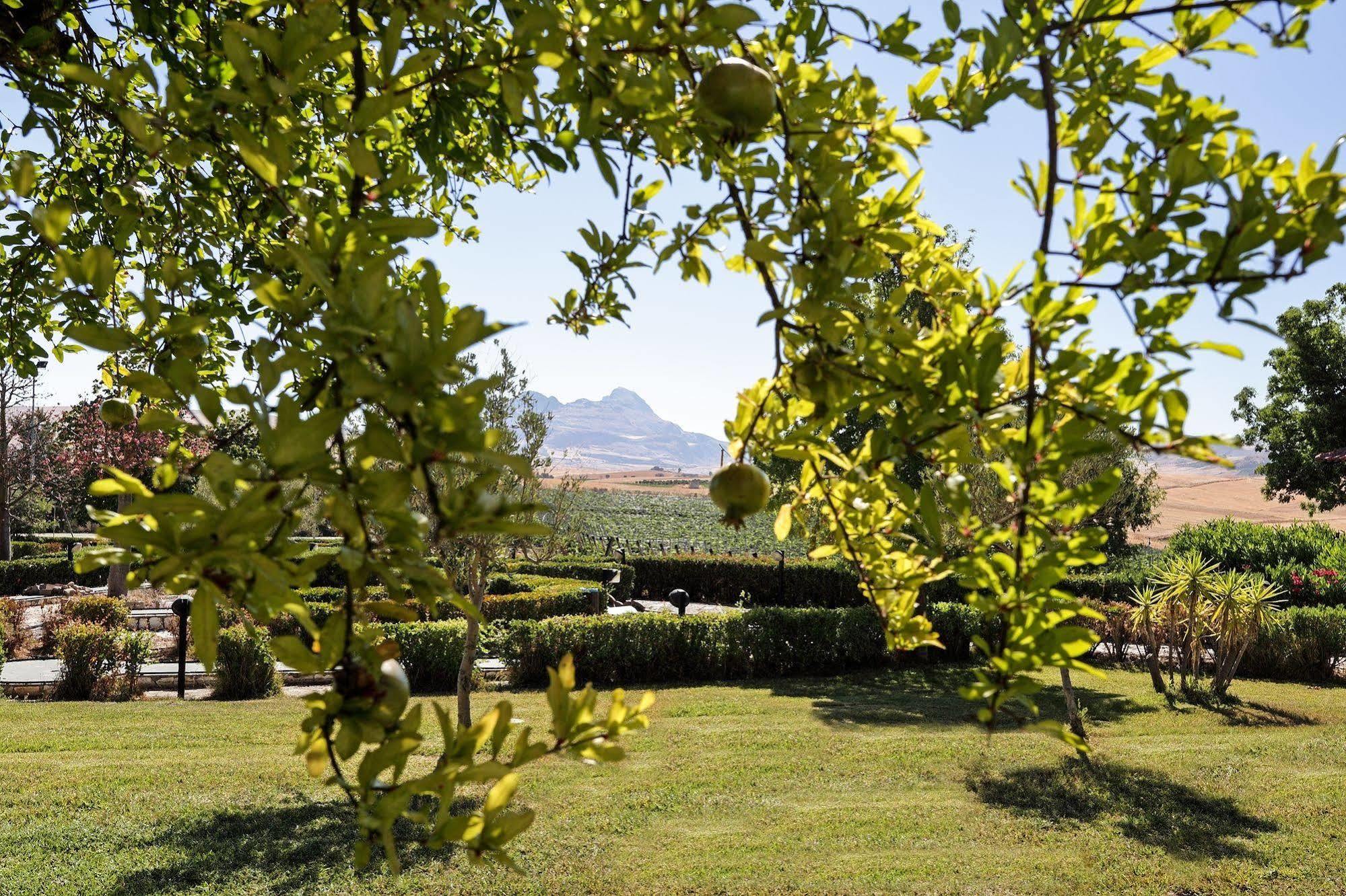 Agriturismo Tenute Pollara Roccamena ภายนอก รูปภาพ